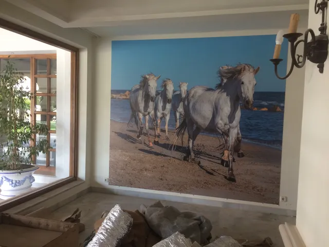 Trabajo de impresión gran formato realizado por Rótulos Pixeles, proyecto 54