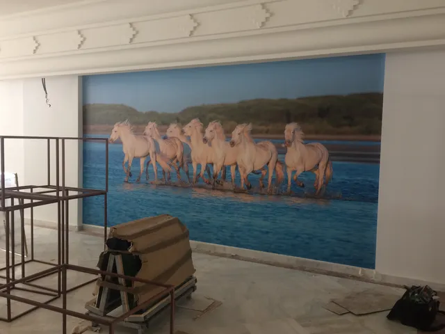 Trabajo de impresión gran formato realizado por Rótulos Pixeles, proyecto 55