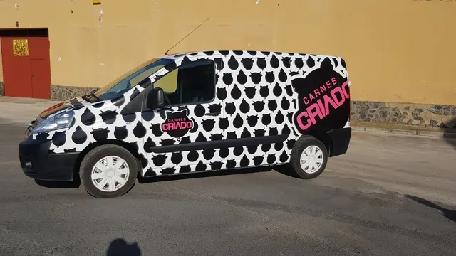 Trabajo de rotulación de vehículos realizado por Rótulos Pixeles, proyecto 20