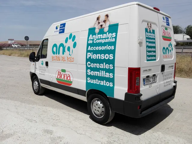Trabajo de rotulación de vehículos realizado por Rótulos Pixeles, proyecto 104