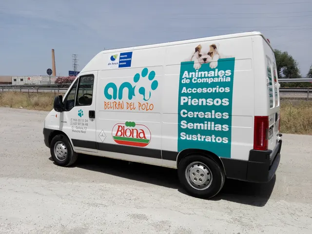 Trabajo de rotulación de vehículos realizado por Rótulos Pixeles, proyecto 105